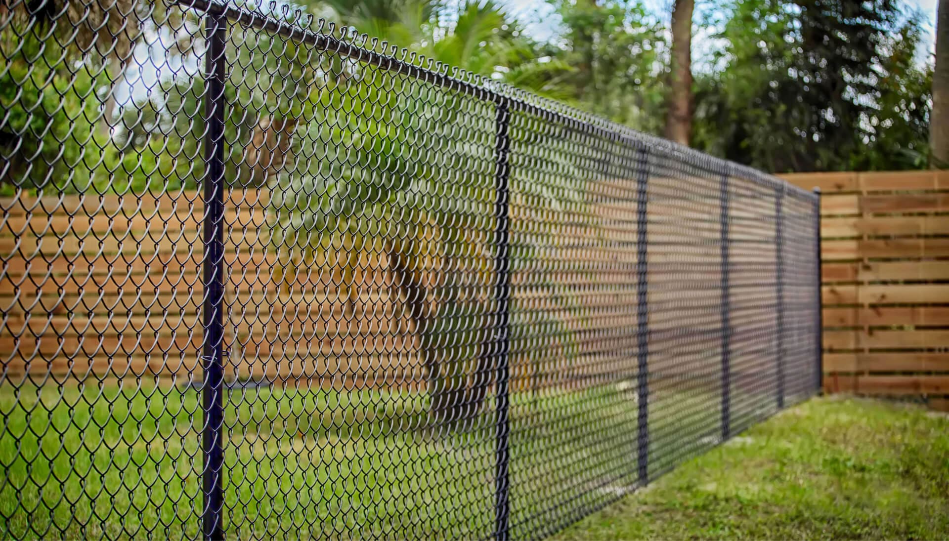 chain link fence installation services in Naples
